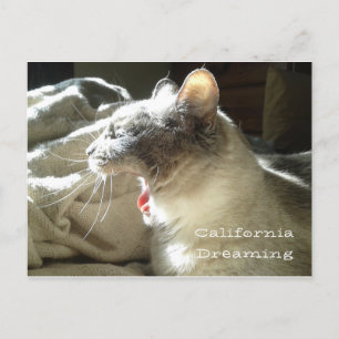 California Dreaming Briefkaart
