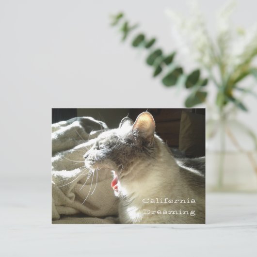 California Dreaming Briefkaart (Staand voorkant)