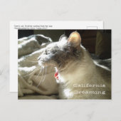 California Dreaming Briefkaart (Voorkant / Achterkant)