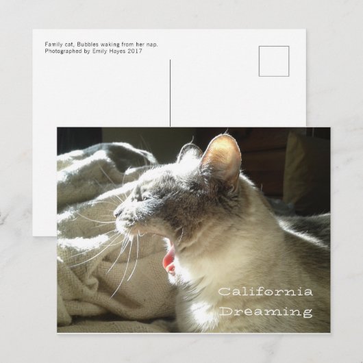 California Dreaming Briefkaart (Voorkant / Achterkant)