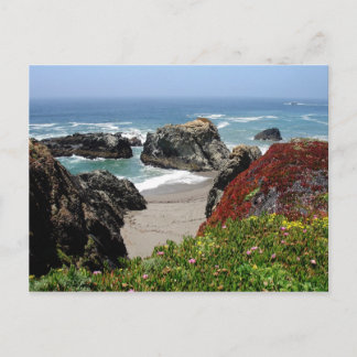 California Dreaming Briefkaart