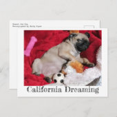 California Dreaming Peanut the Pug Briefkaart (Voorkant / Achterkant)