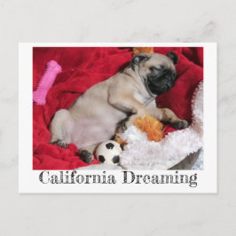California Dreaming Peanut the Pug Briefkaart