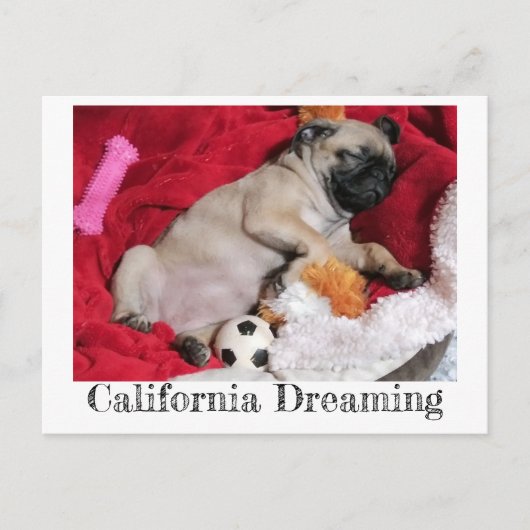 California Dreaming Peanut the Pug Briefkaart (Voorkant)