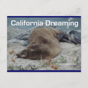 California Dreaming (Zee Lion) - Briefkaart