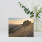 California East Bay Hills in Summer briefkaart (Staand voorkant)