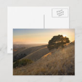 California East Bay Hills in Summer briefkaart (Voorkant / Achterkant)