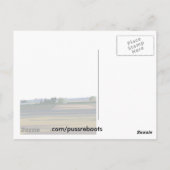 California Farmland Briefkaart (Achterkant)