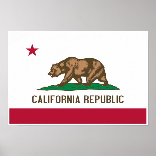 California Flag Print (Voorkant)