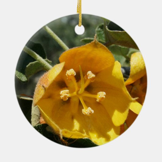 California Flannel Struik Keramisch Ornament (Achterkant)