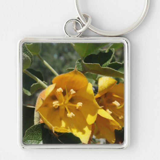 California Flannel Struik Sleutelhanger (Voorkant)