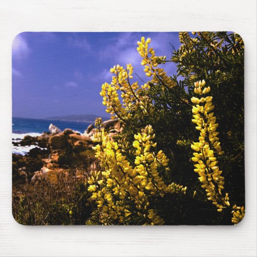 California Floral Coast Mousepad Muismat (Voorkant)