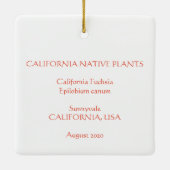 California Fuchsia Keramisch Ornament (Achterkant)