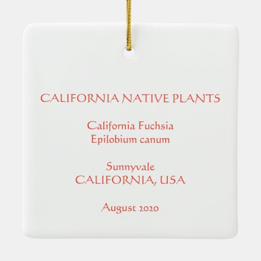 California Fuchsia Keramisch Ornament (Achterkant)