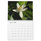 California Gardens - Kalender (Jan 2026)