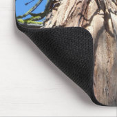 California Giant Muismat (Hoek)