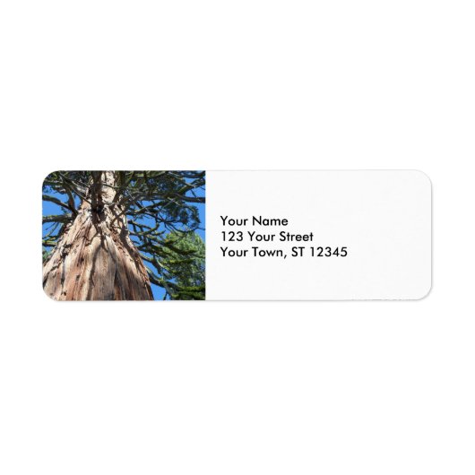 California Giant Tree Etiket (Voorkant)