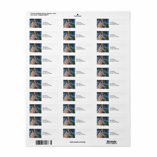 California Giant Tree Etiket (Full Sheet)