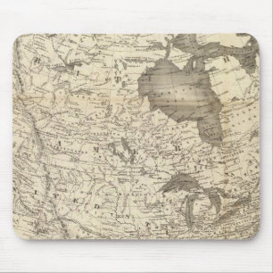California Gold Rush Muismat