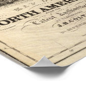 California Gold Rush Poster (Hoek)