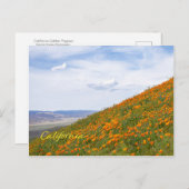 California Golden Poppies Briefkaart (Voorkant / Achterkant)