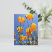 California Golden Poppies tegen Blue Sky Briefkaart (Staand voorkant)