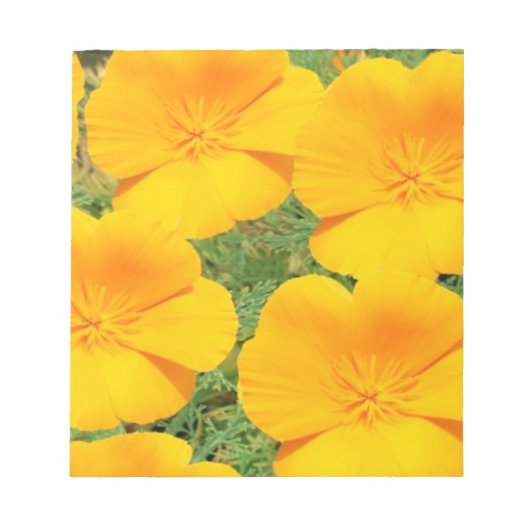 California Golden Poppy Notitieblok (Voorkant)