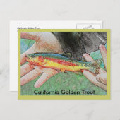 California Golden Trout Briefkaart (Voorkant / Achterkant)