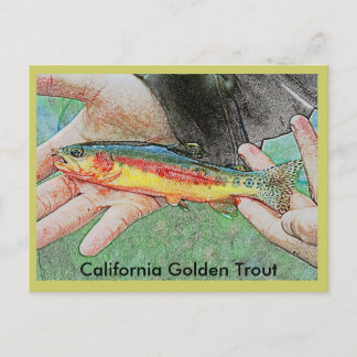 California Golden Trout Briefkaart