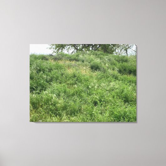 California Green Canvas Afdruk (Voorkant)