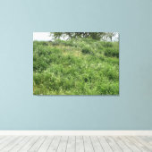 California Green Canvas Afdruk (Insitu (Houten vloer))
