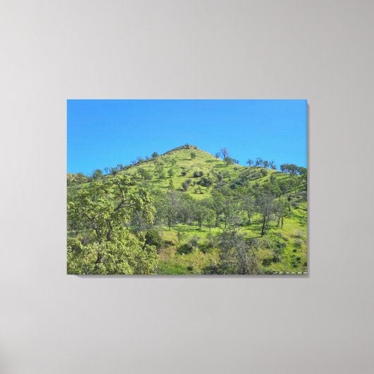 California Green Canvas Afdruk (Voorkant)