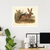 California Hare by Audubon (0177A) Poster (Thuiskantoor)