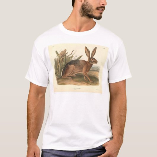 California Hare by Audubon (0177A) T-shirt (Voorkant)