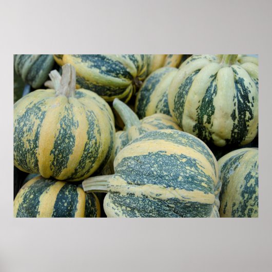 California. Herfst oogst in Californië Poster (Voorkant)