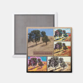 California Hillside Abstracte Foto Collage 9979 Magneet (Voorkant / Achterkant)