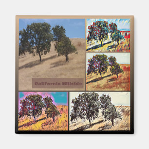 California Hillside Abstracte Foto Collage 9979 Magneet