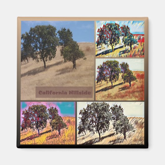 California Hillside Abstracte Foto Collage 9979 Magneet (Voorkant)
