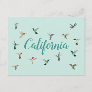 California Hummingbird Briefkaart