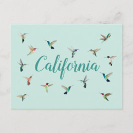 California Hummingbird Briefkaart
