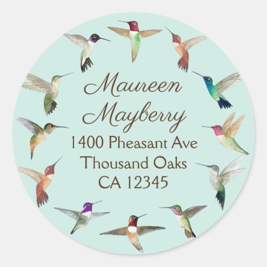 California Hummingbird Classic Round Sticker (Voorkant)