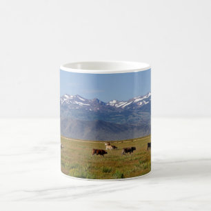 California HWY 395 Landscape Koffiemok