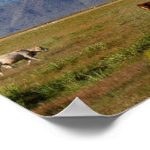 California HWY 395 Landscape Poster (Hoek)