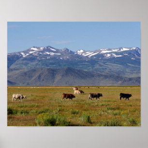California HWY 395 Landscape Poster