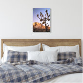 California, Joshua Tree National Park, Joshua Canvas Afdruk (Insitu (Slaapkamer))