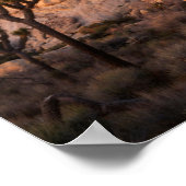 California, Joshua Tree National Park, Joshua Poster (Hoek)