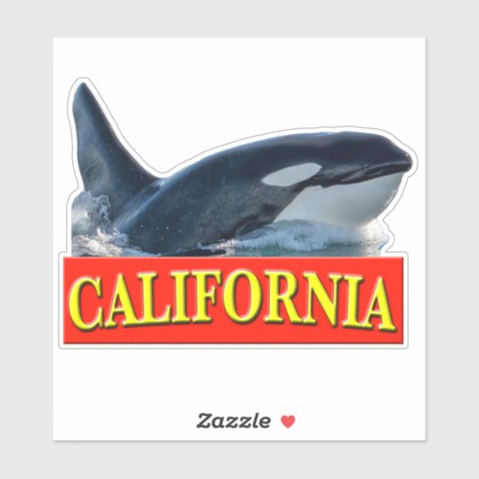 California Killer Whale Sticker (Vel)