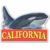 California Killer Whale Sticker (Voorkant)