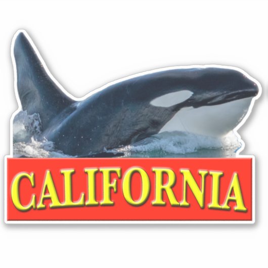 California Killer Whale Sticker (Voorkant)