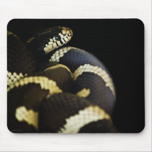 California King Snake Mousepad Muismat